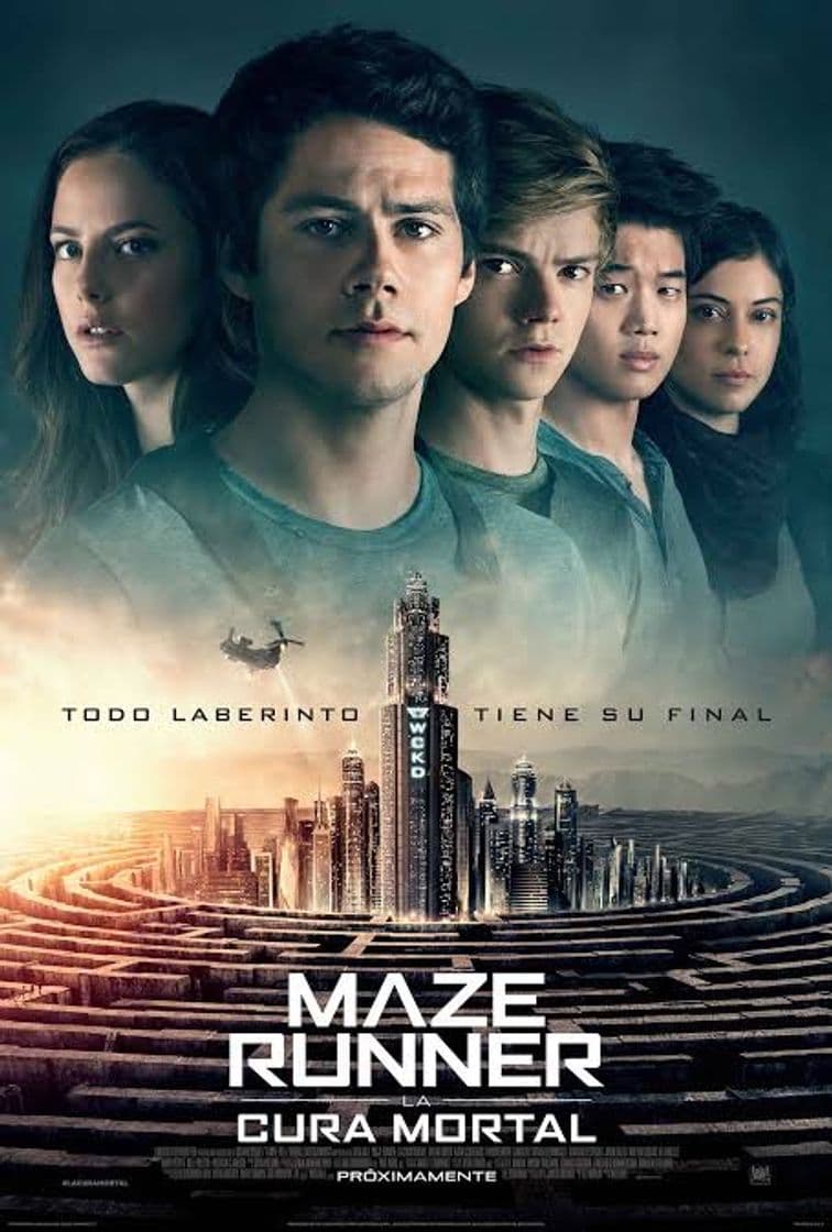 Película The Maze Runner