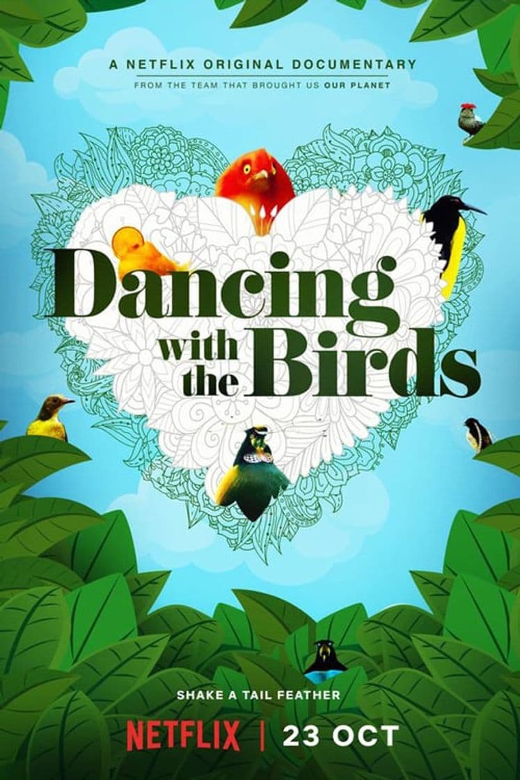 Movie Dancing with the Birds