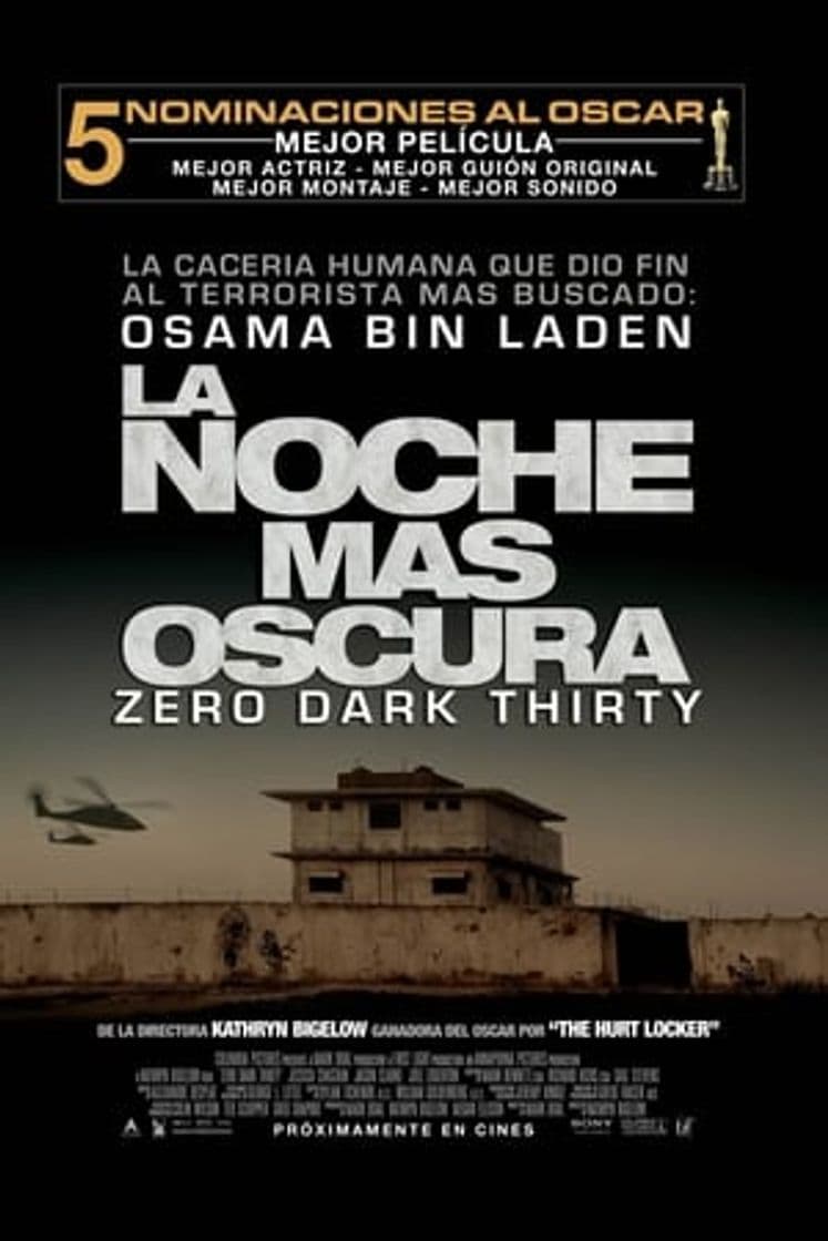 Película Zero Dark Thirty