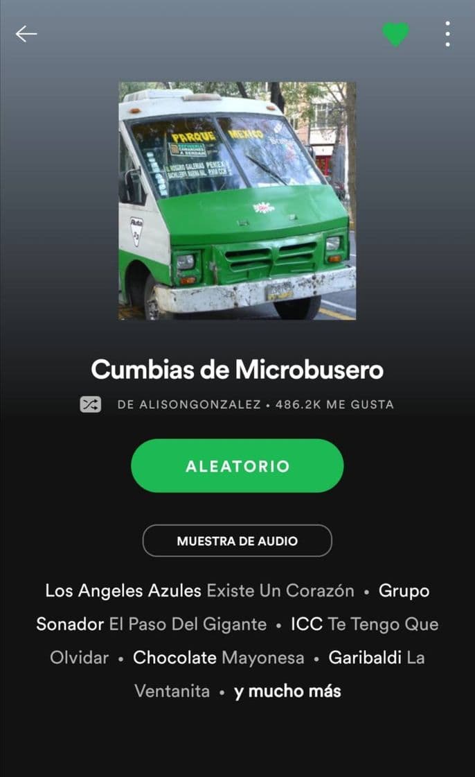 Fashion Cumbias de microbusero