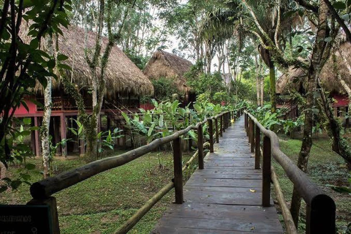 Lugar Las Guacamayas Ecolodge