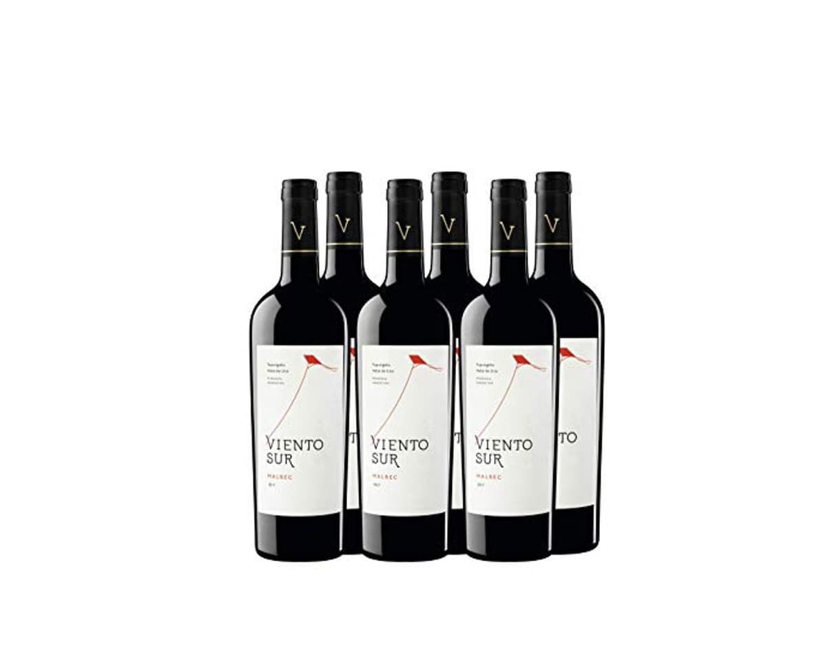 Producto Viento Sur Malbec - Argentina, Mendoza, Valle de Uco, Tupungato, Gualtallery -