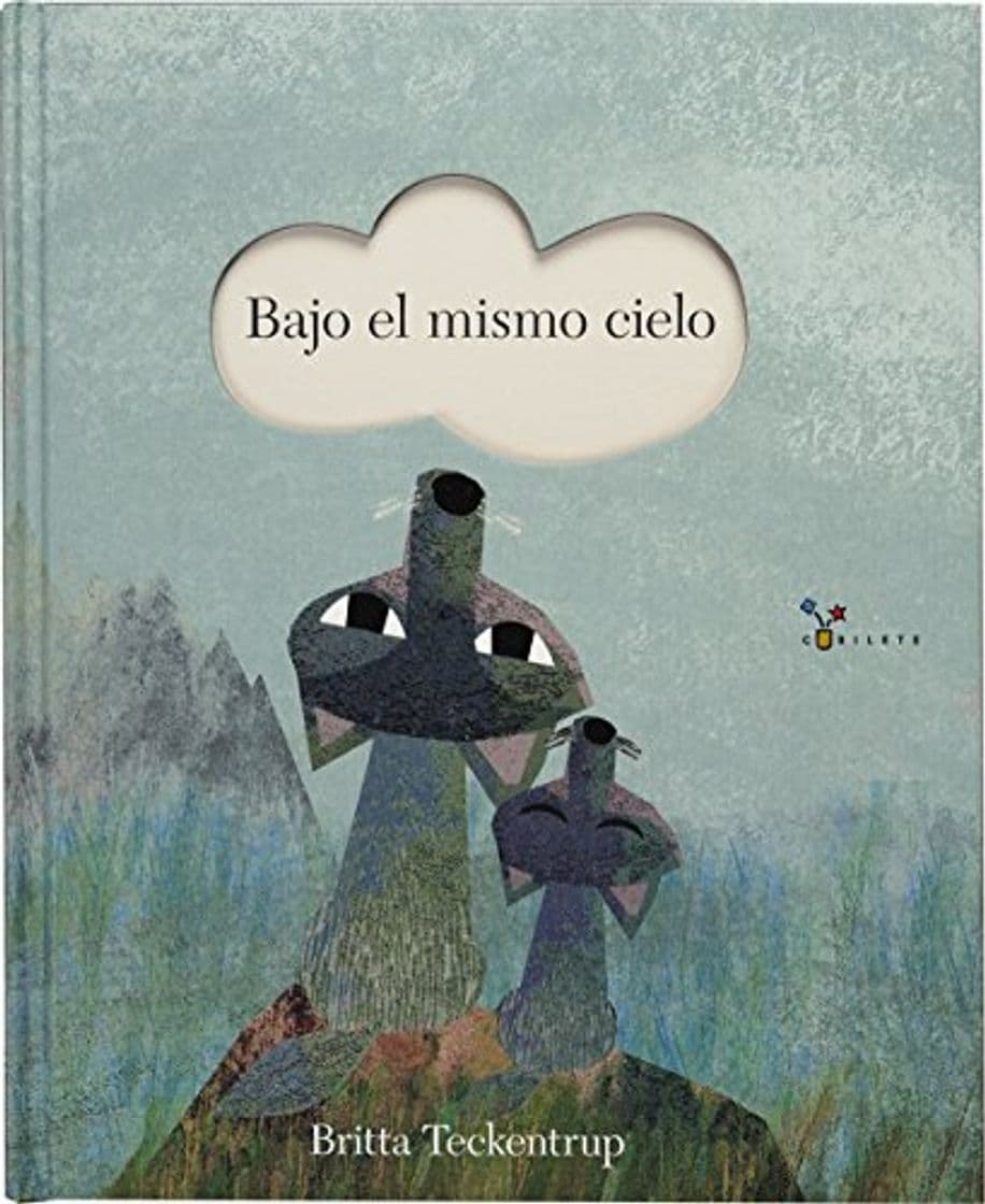 Book Bajo el mismo cielo