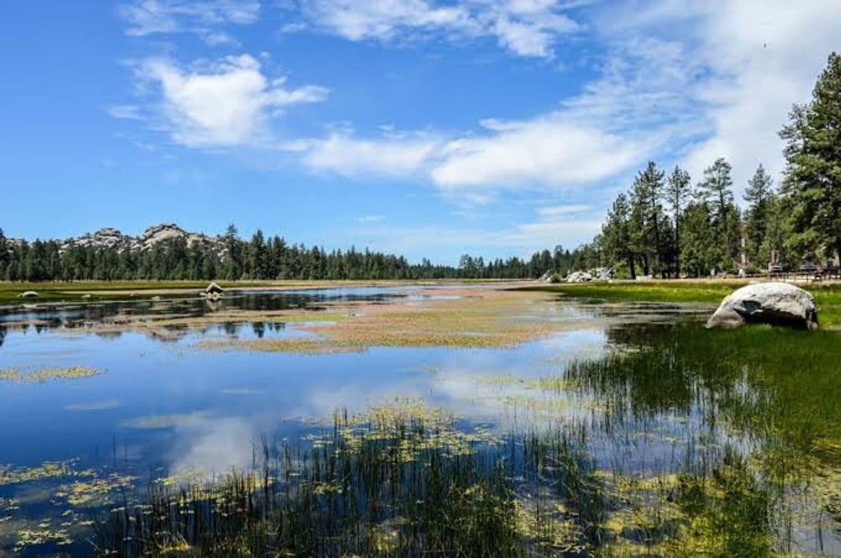 Lugar Laguna Hanson