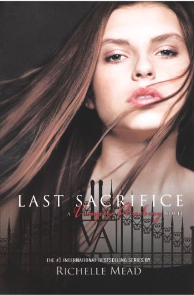 Book VAMPIRE ACADEMY LAST SACRIFICE