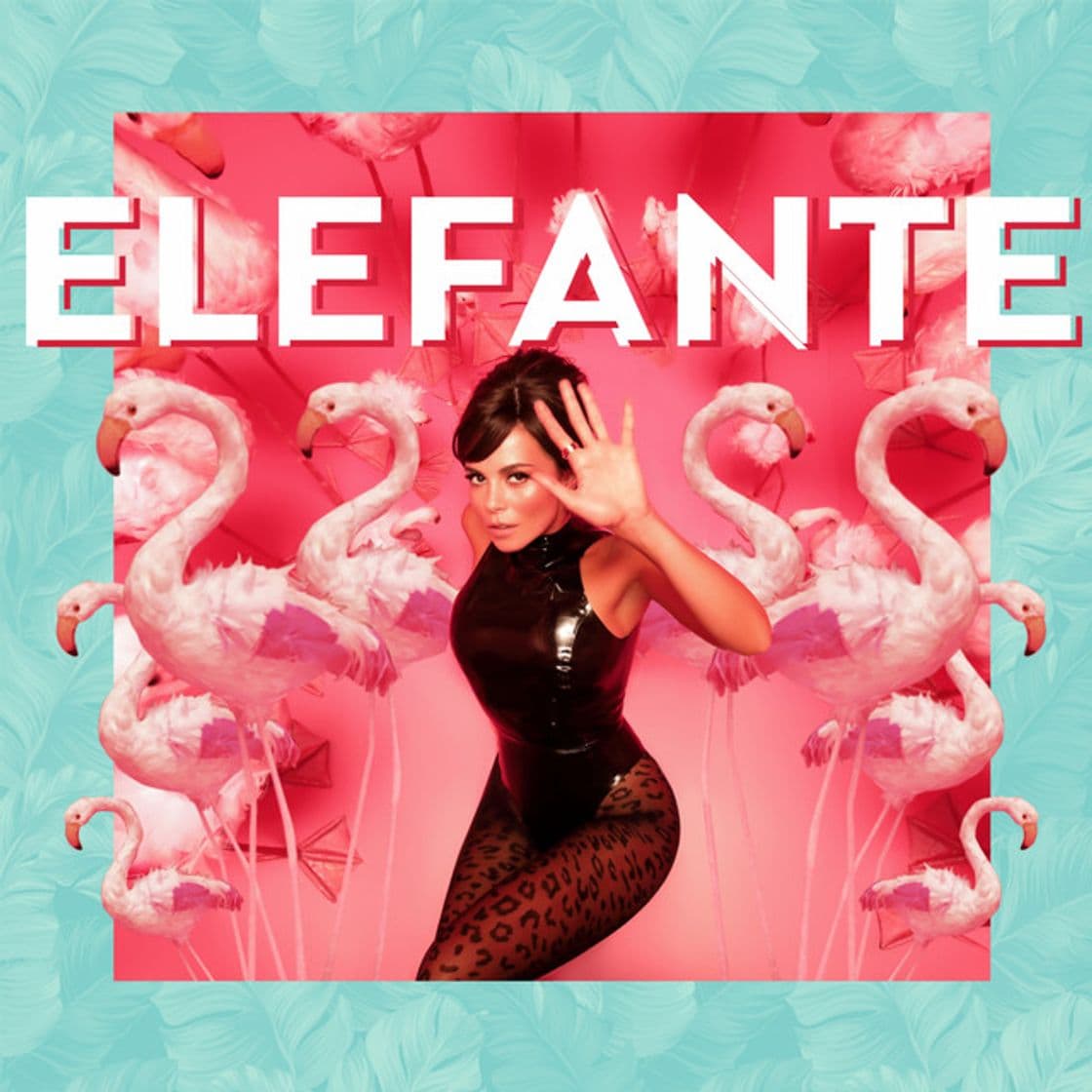 Canción Elefante