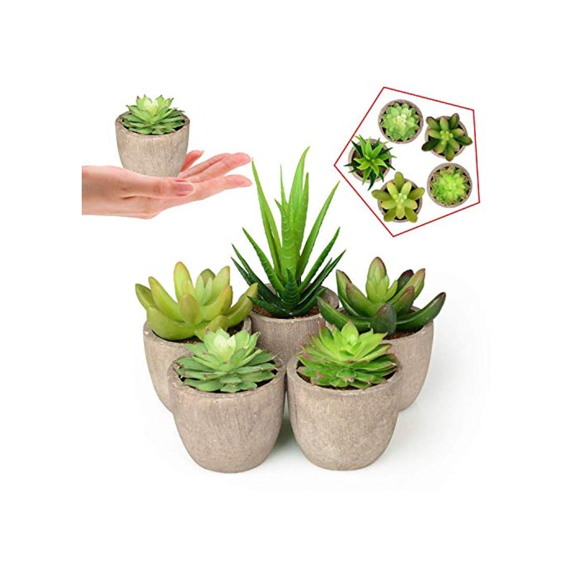 Elemento de la categoría hogar Plantas Suculentas Artificiales 5PCS Jardinera Suculenta Falso Plantas de Cactus Faux en