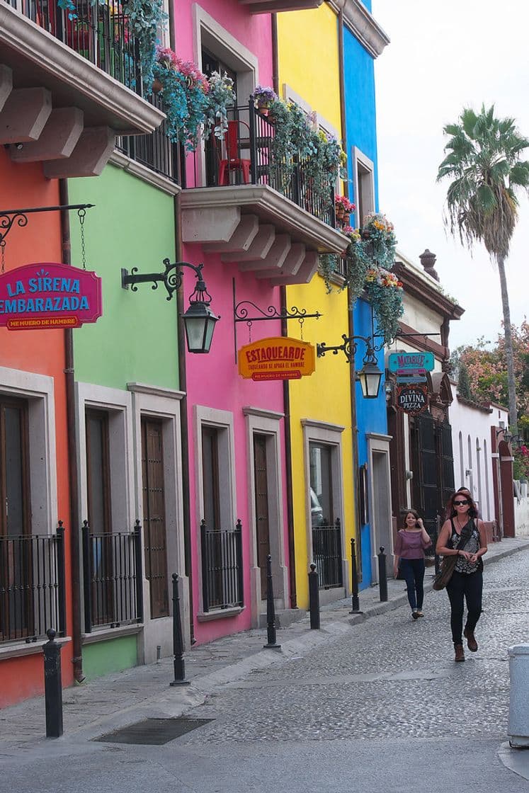 Restaurantes La sirena embarazada