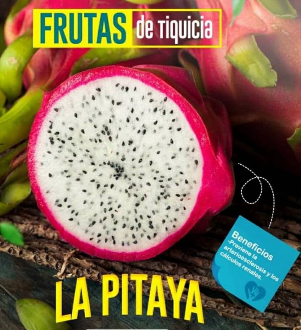 Fashion Frutas