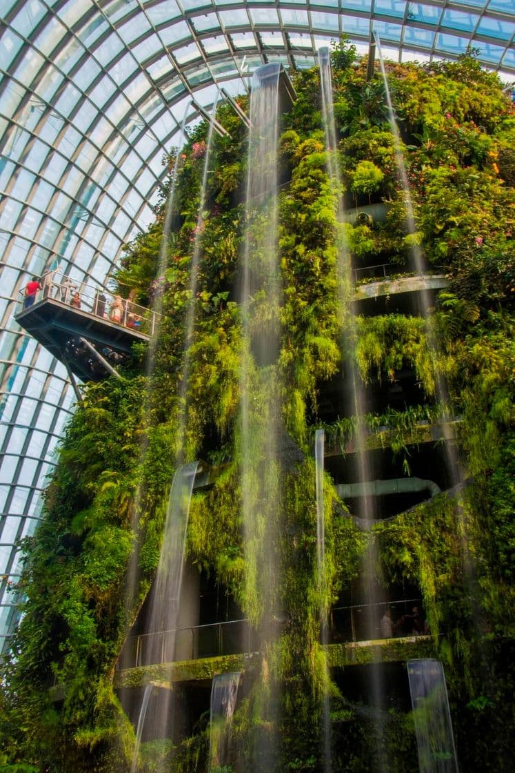 Lugar Cloud Forest