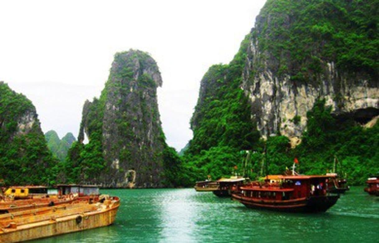 Place Hạ Long Bay