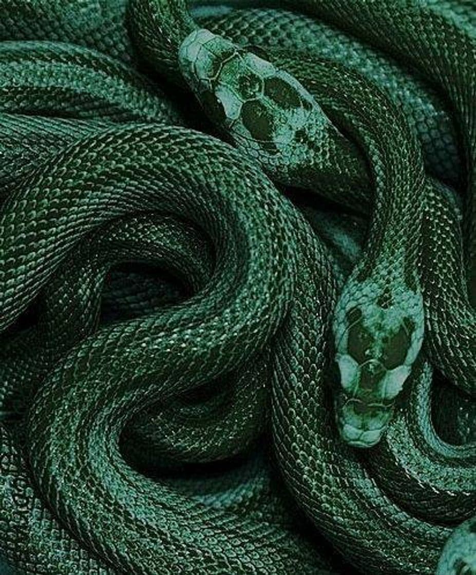 Fashion Slytherin Aesthetic