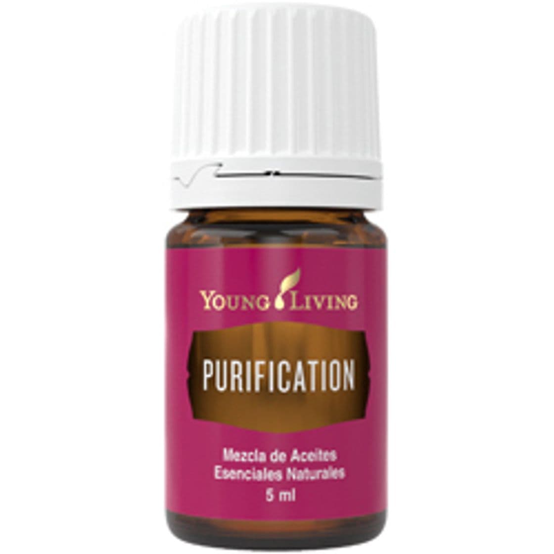 Moda Usos y Beneficios del Aceite Esencial Purification 