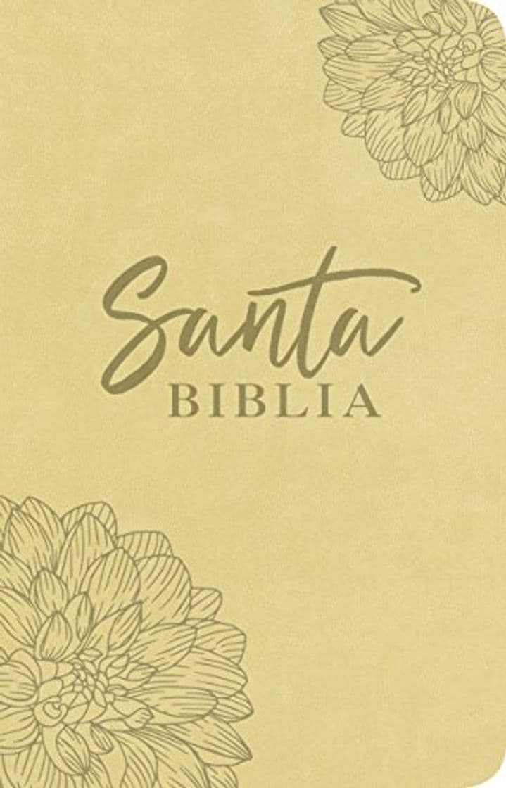 Libro Santa Biblia Ntv