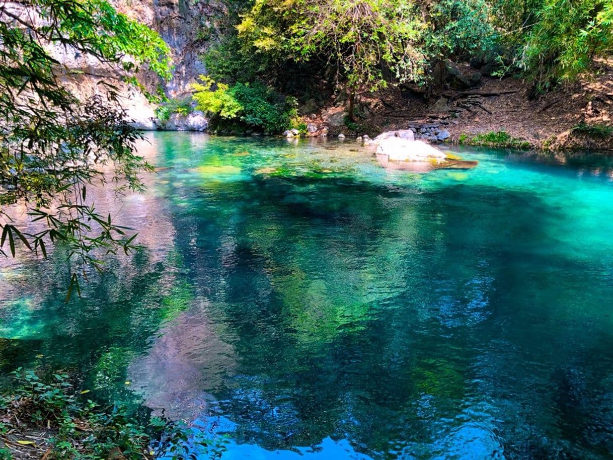 Lugar El nacimiento de Tamuin