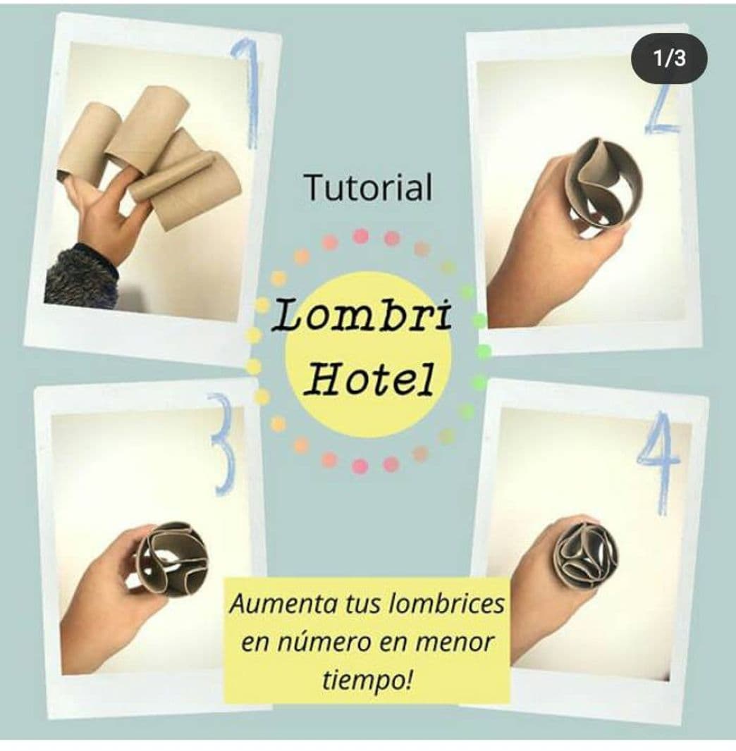 Fashion Tutorial para aumentar lombrices en un menor tiempo