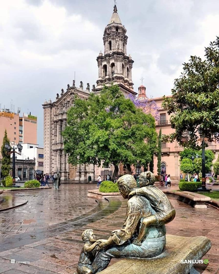 Lugar Plaza del Carmen