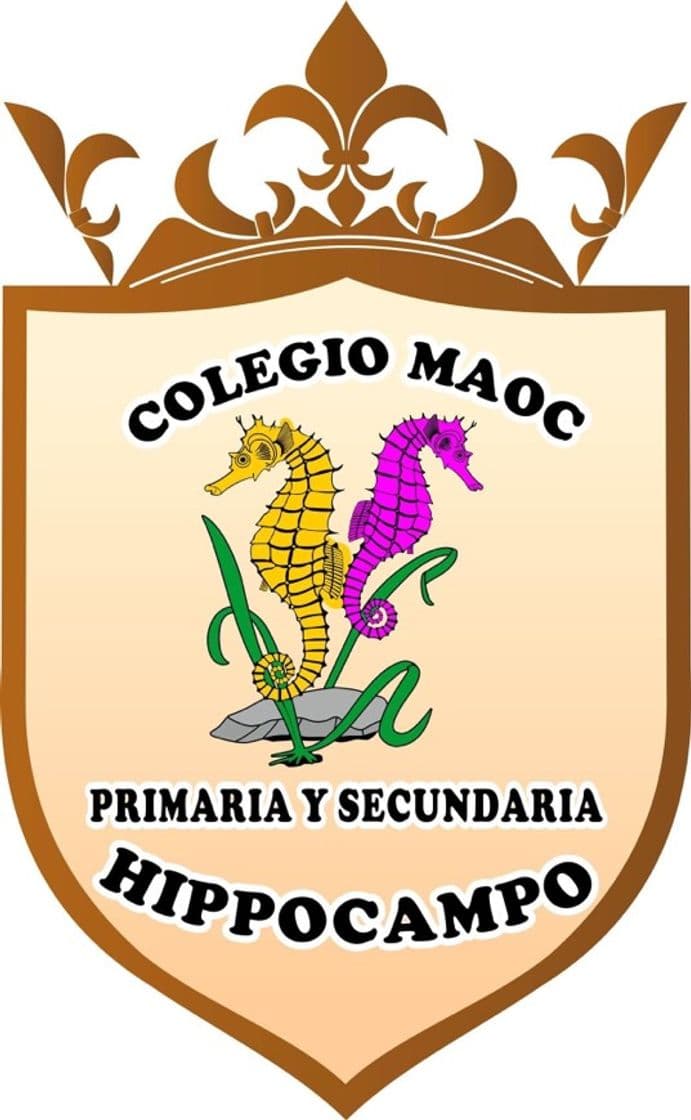 Fashion Colegio “MAOC”