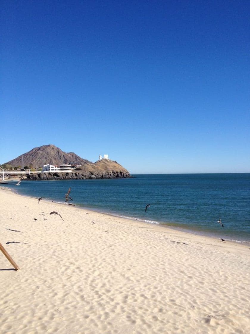 Lugar Puerto Peñasco