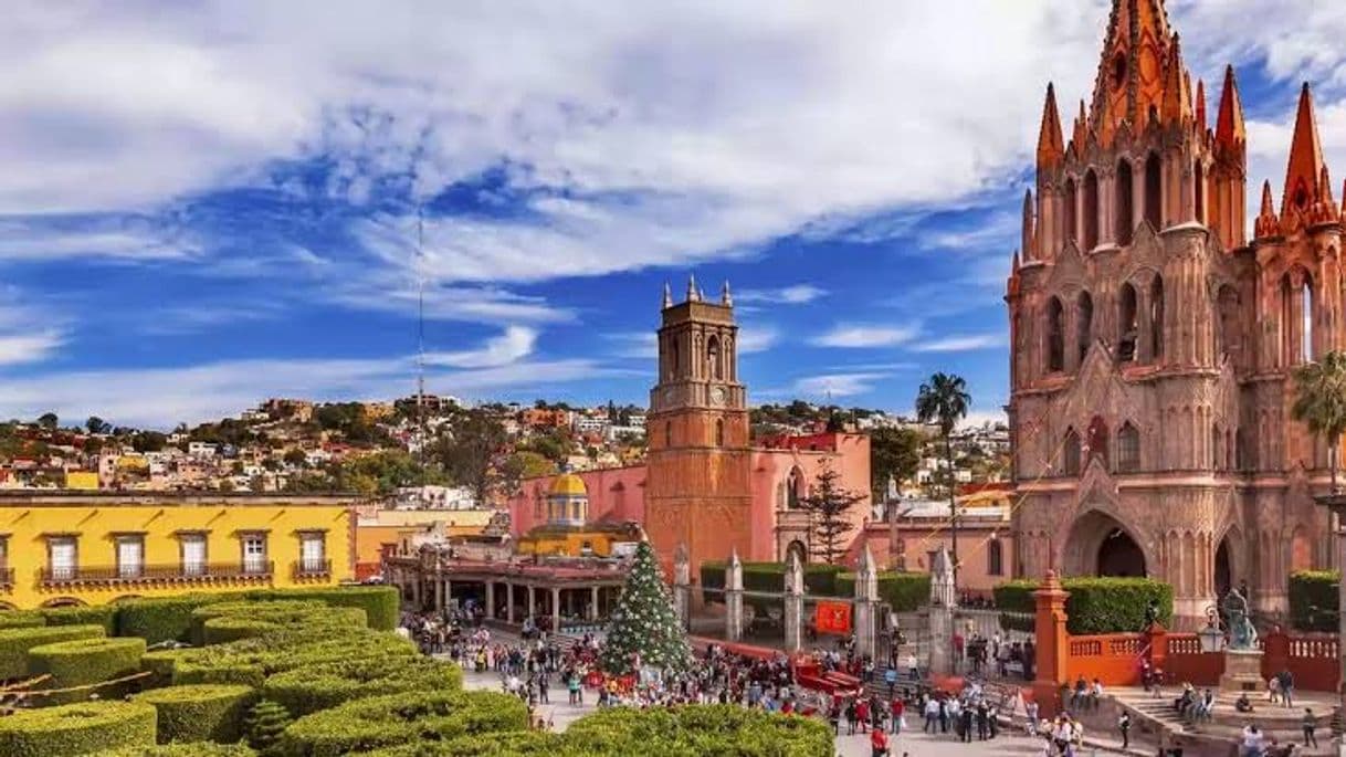 Place San Miguel de Allende