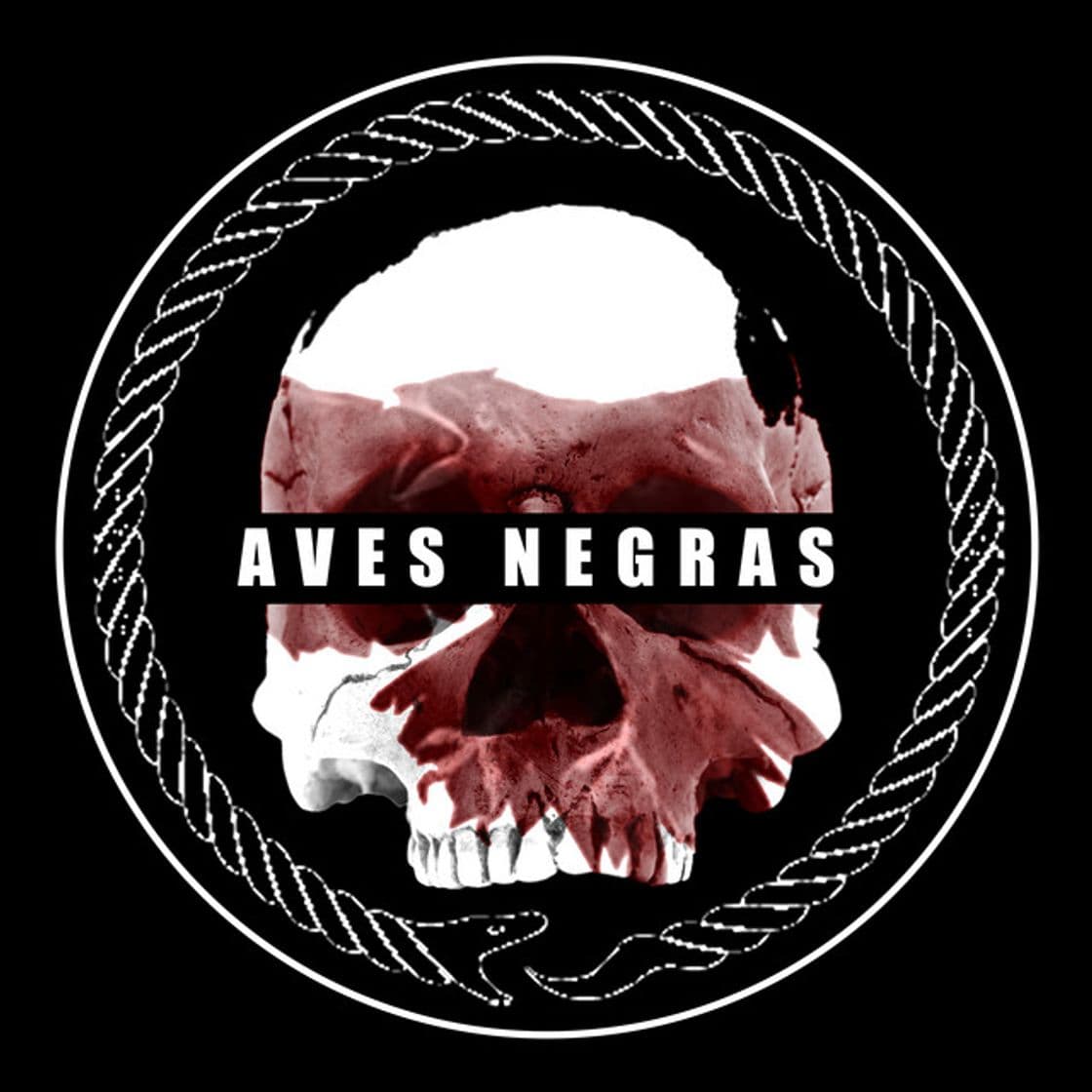 Music Aves negras