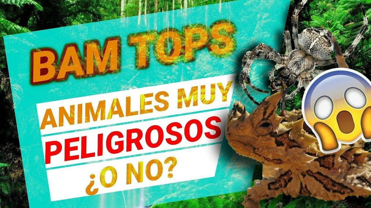 Moda 5 ANIMALES 🐍 que se ven PELIGROSOS pero son INOFENSIVOS 🐰