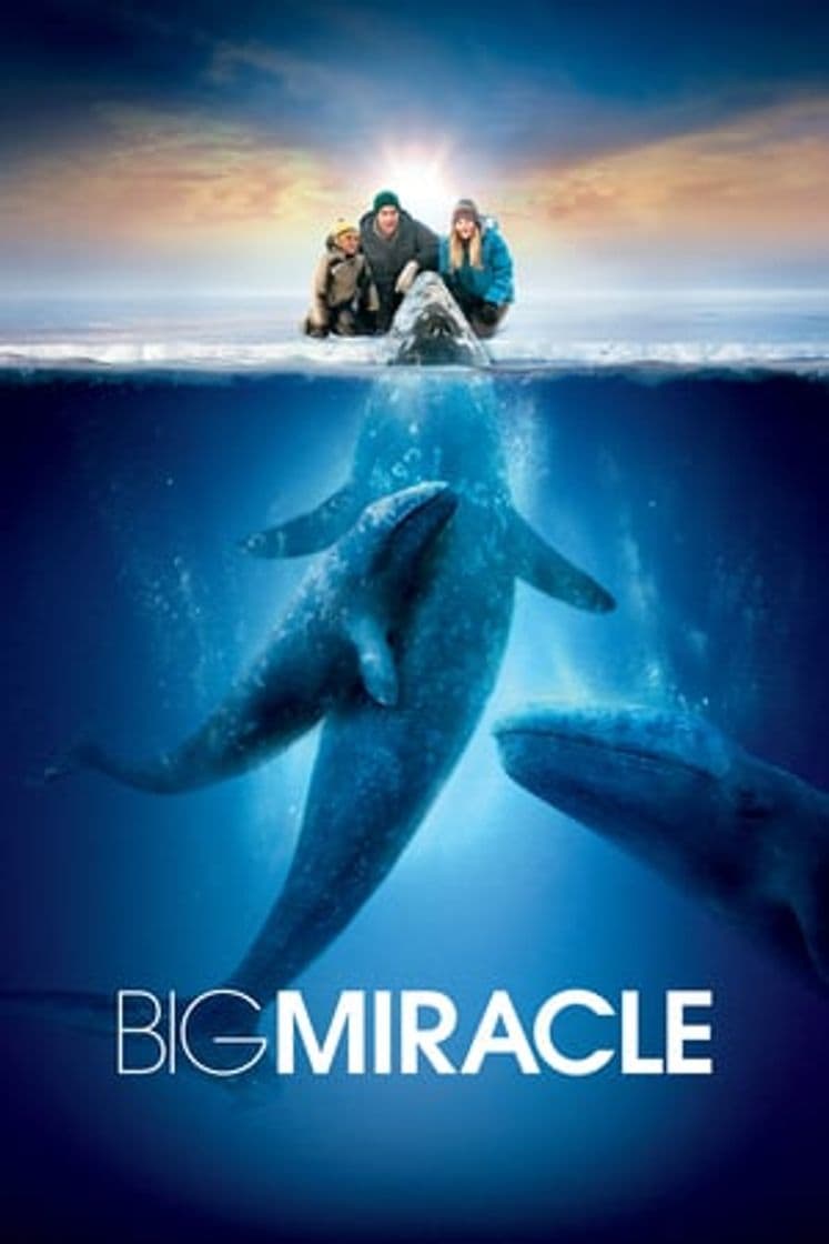 Película Big Miracle