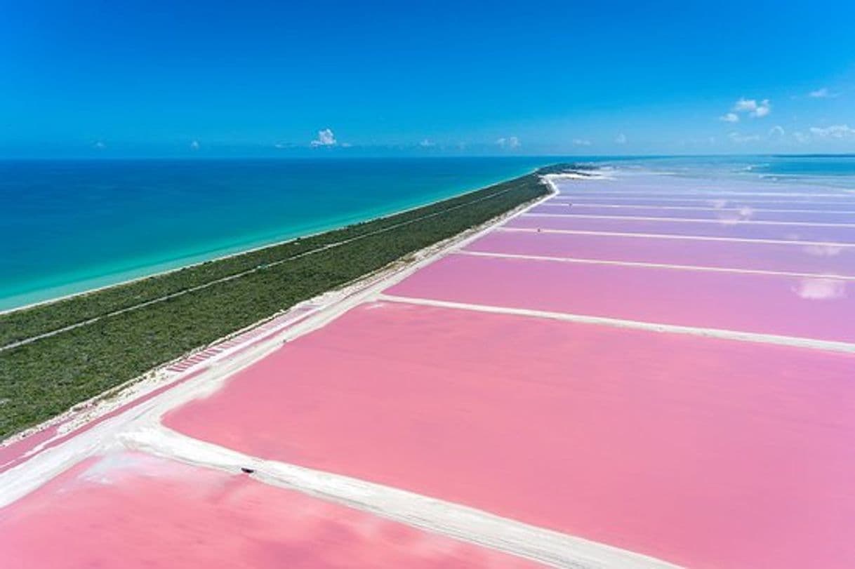 Lugar Lagunas Rosadas "Las Coloradas"