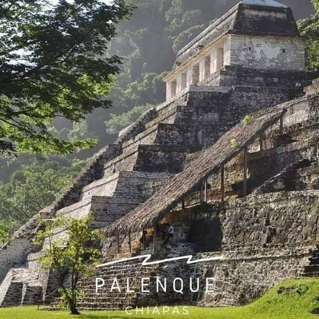 Place Palenque