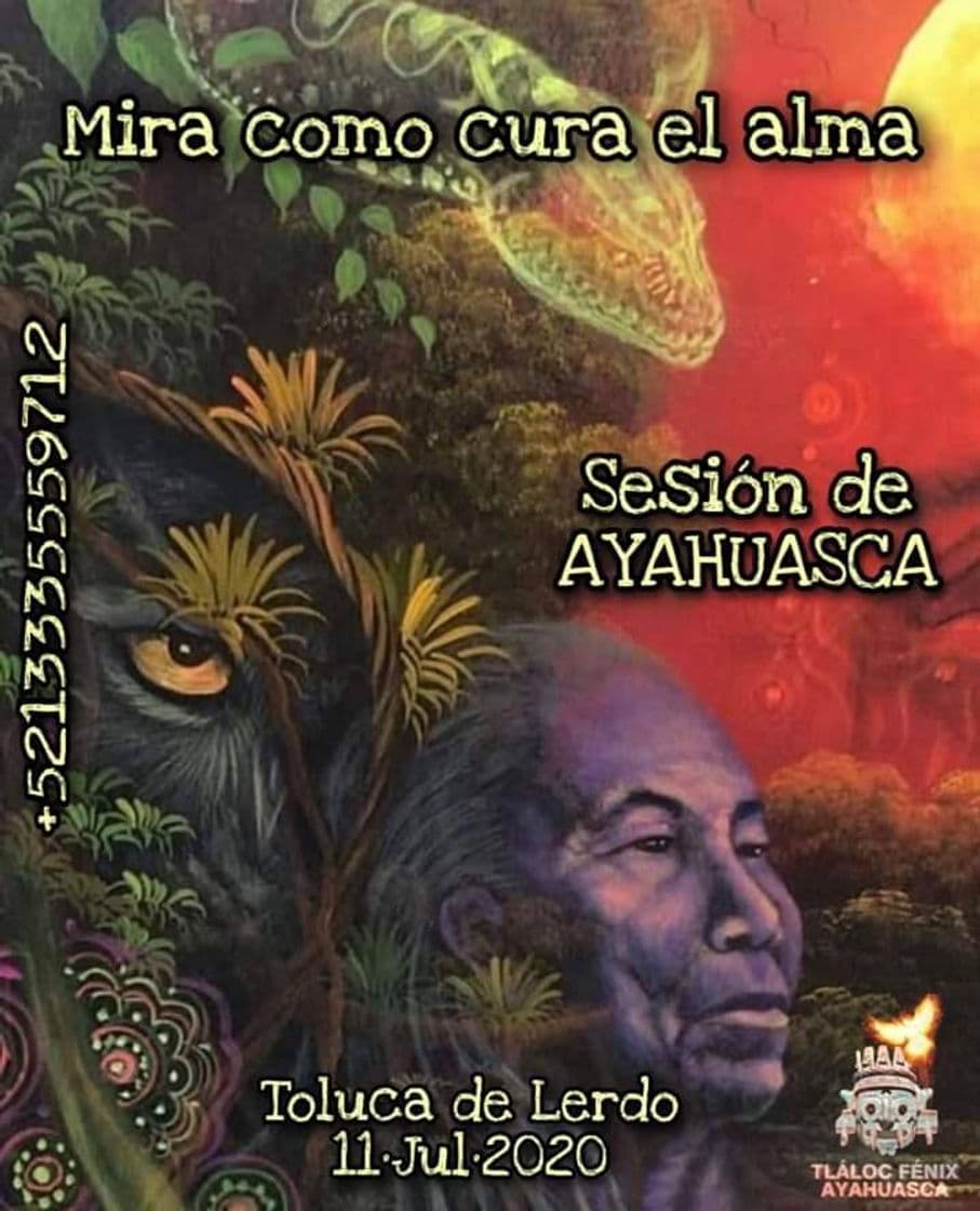 Moda Ayahuasca 🍃🙌🏻