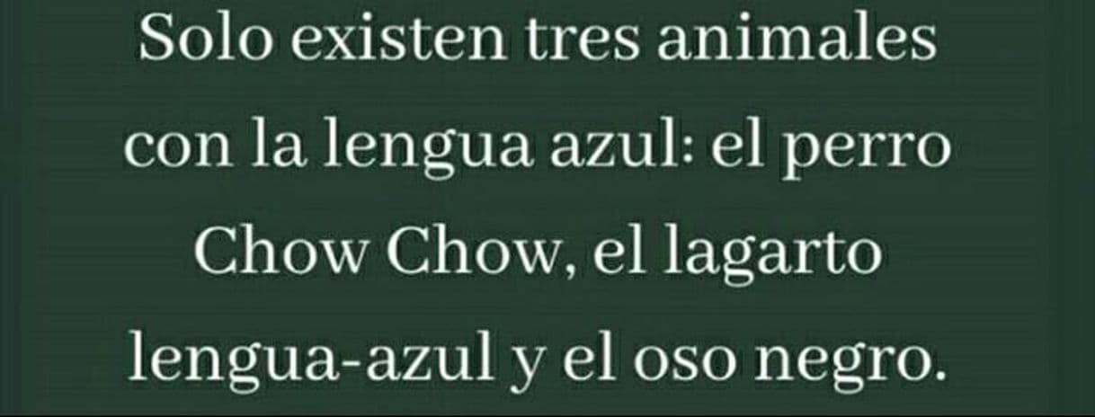 Moda Dato.... 👉