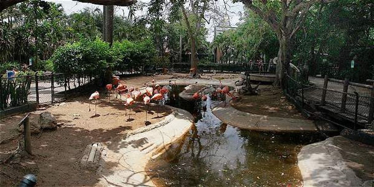 Place Zoológico de Barranquilla