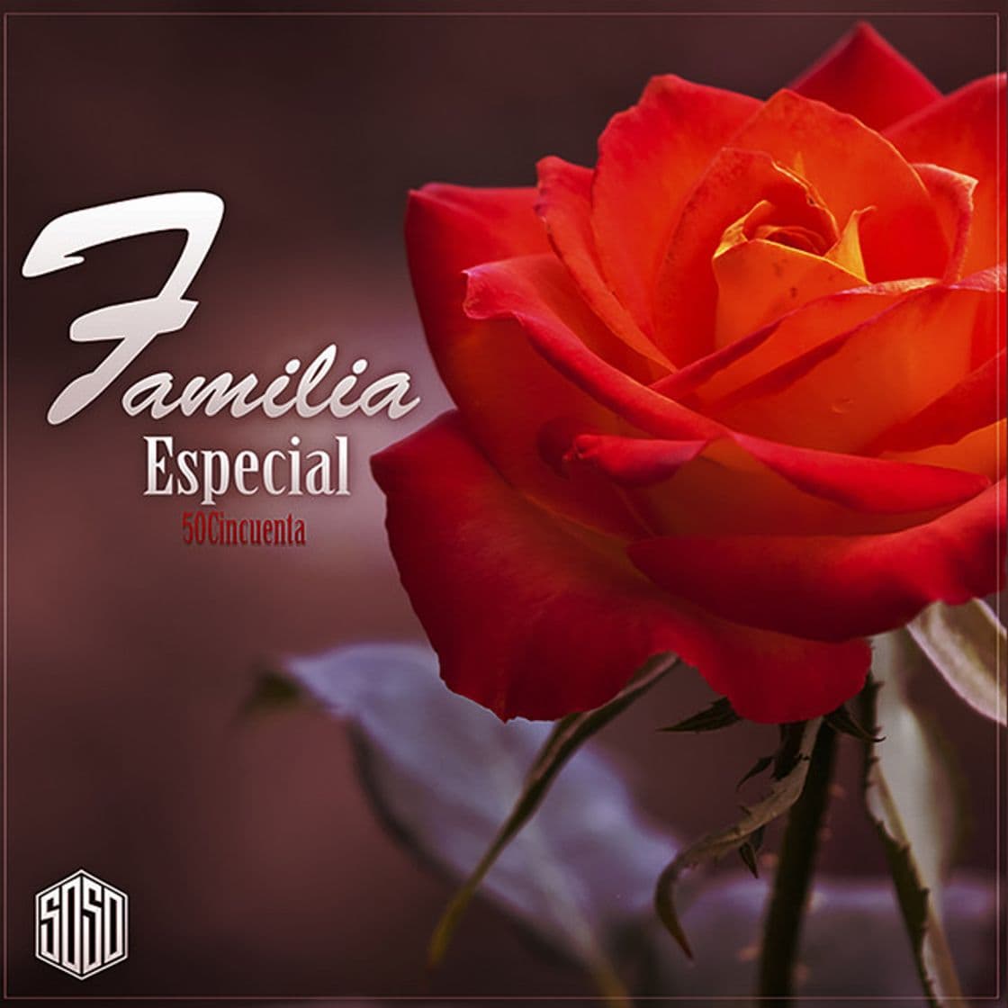 Canción Familia Especial