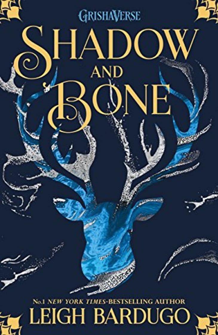 Book Shadow and Bone: Book 1