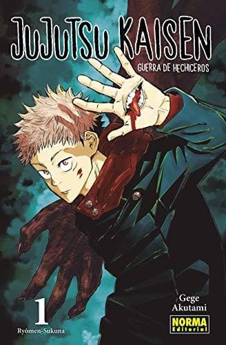 Book Jujutsu Kaisen 1