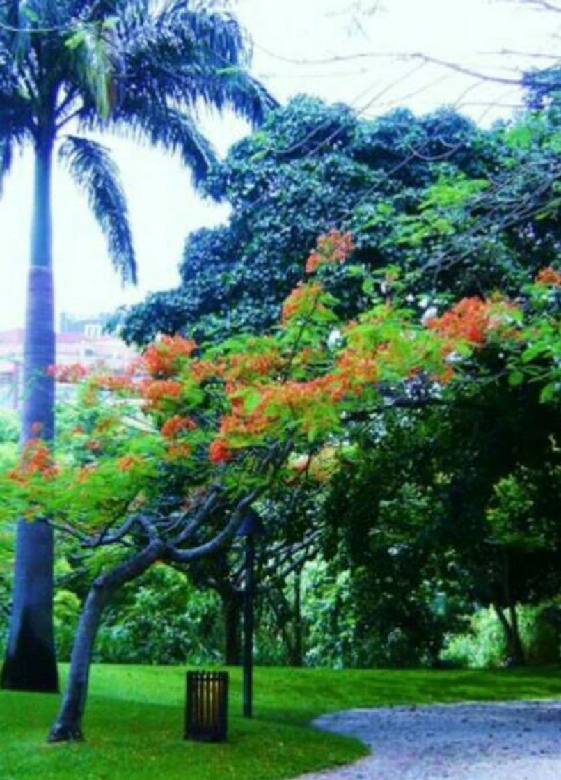 Moda Parque nacional Fernando Peñalver Valencia Carabobo Venezuel