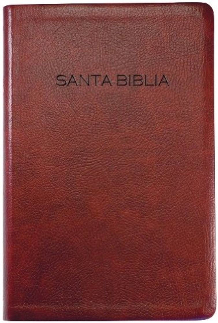 Libro Biblia Para Regalo y Premio-NVI