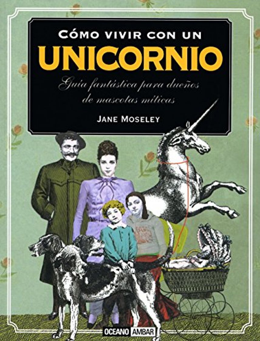 Book Cómo vivir con un unicornio: Aprende a cuidar a los animales fantásticos