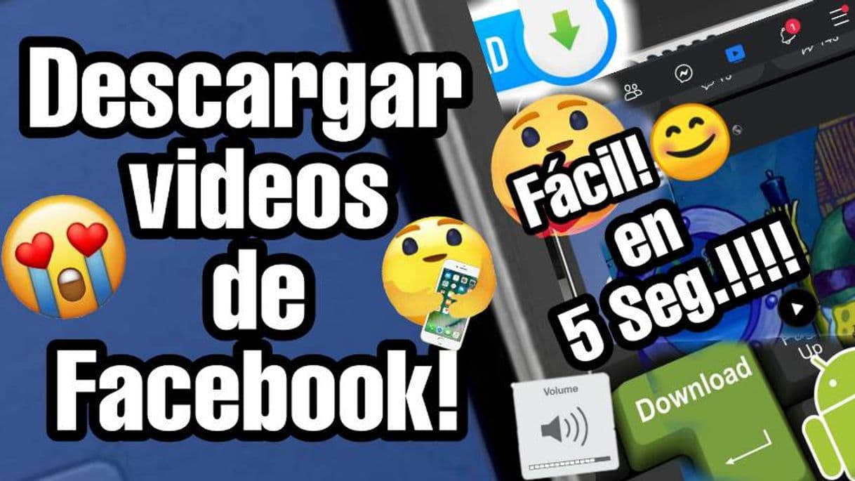 Fashion Descargar Videos de Facebook