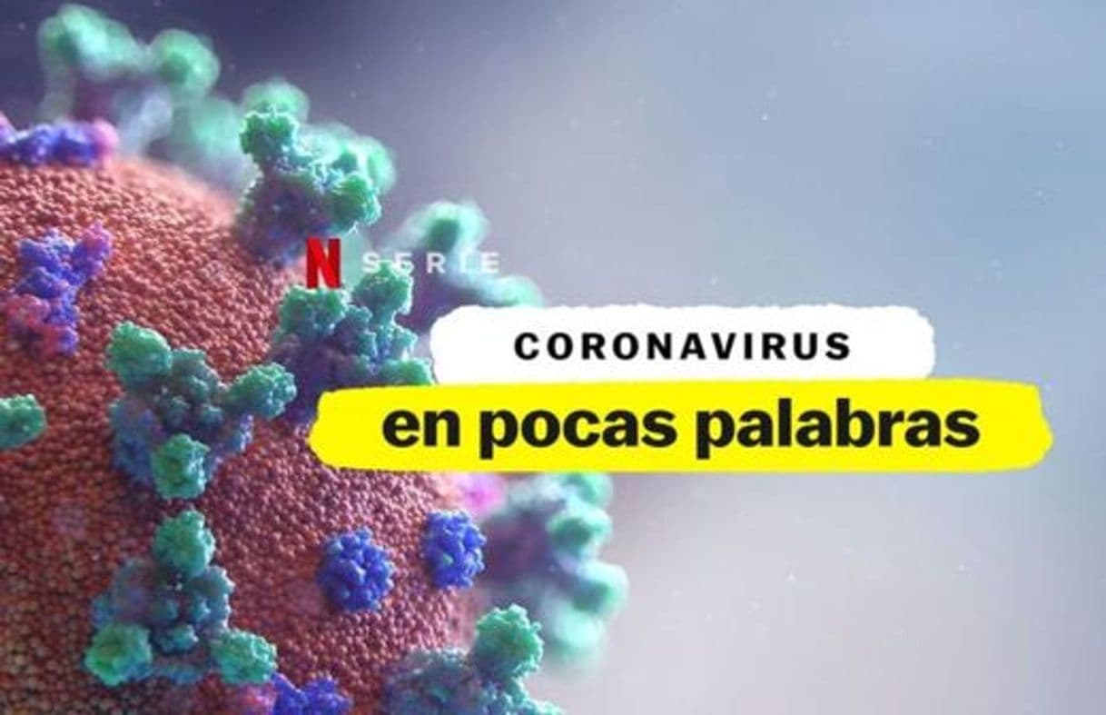 Serie Coronavirus, Explained