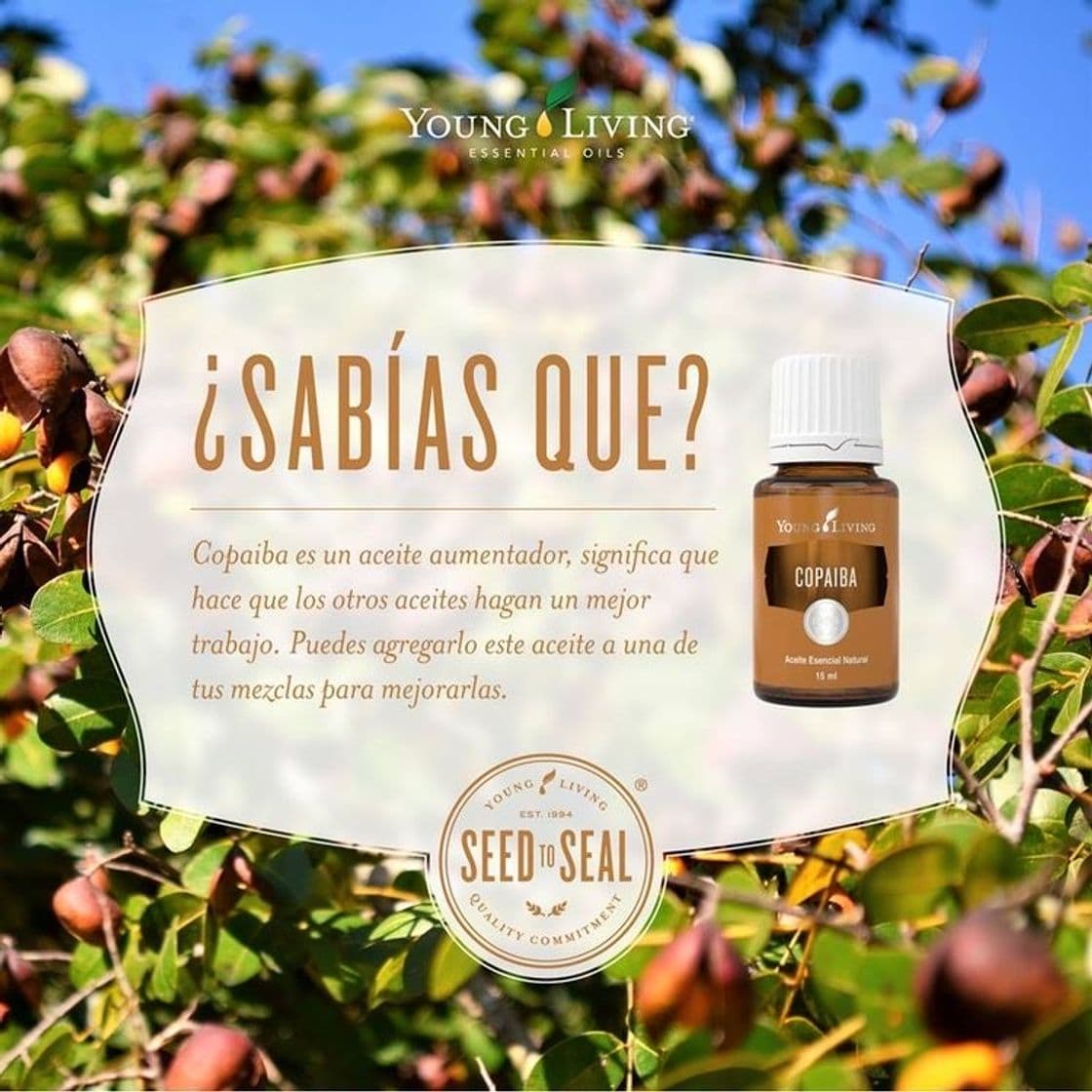 Product Aceite esencial Copaiba 