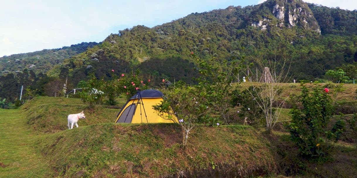 Lugar Ecoparque Peñas Blancas