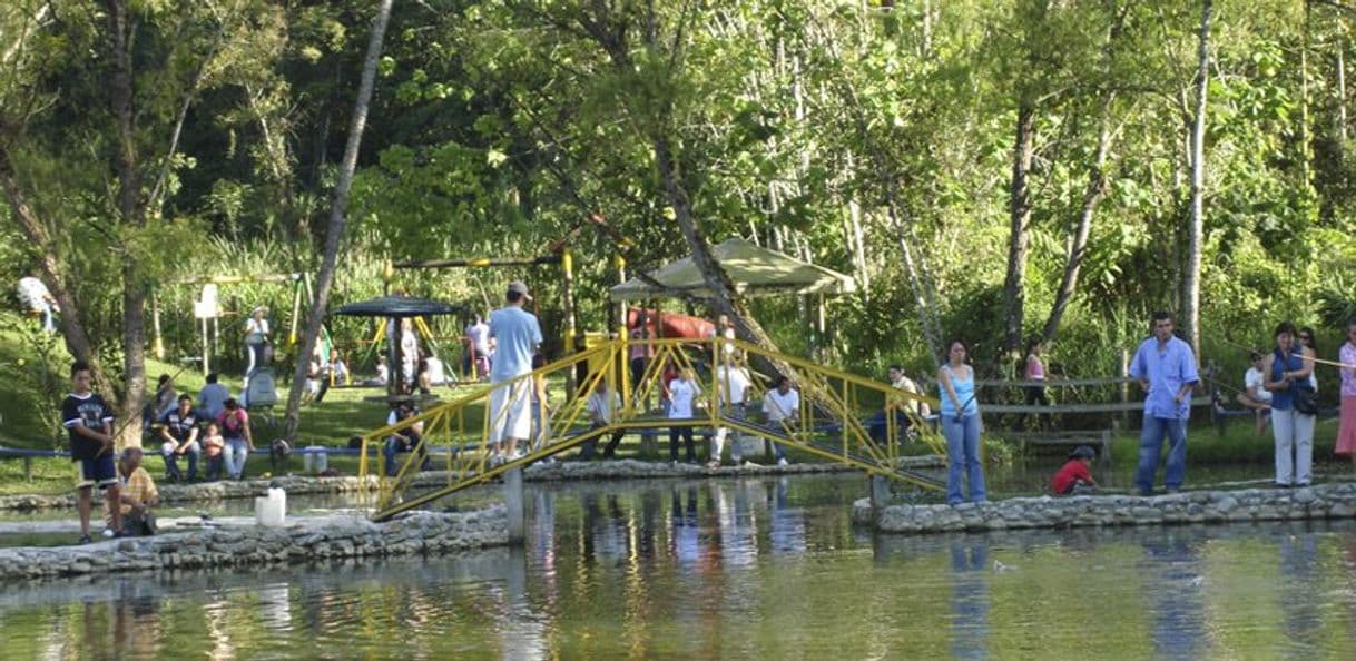 Restaurantes Lagos Venecia