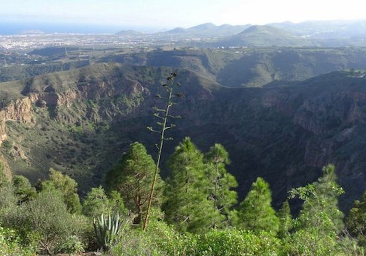 Place Caldera de Bandama