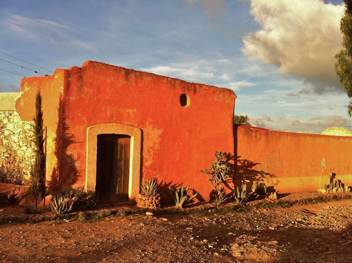 Lugar Mineral de Pozos