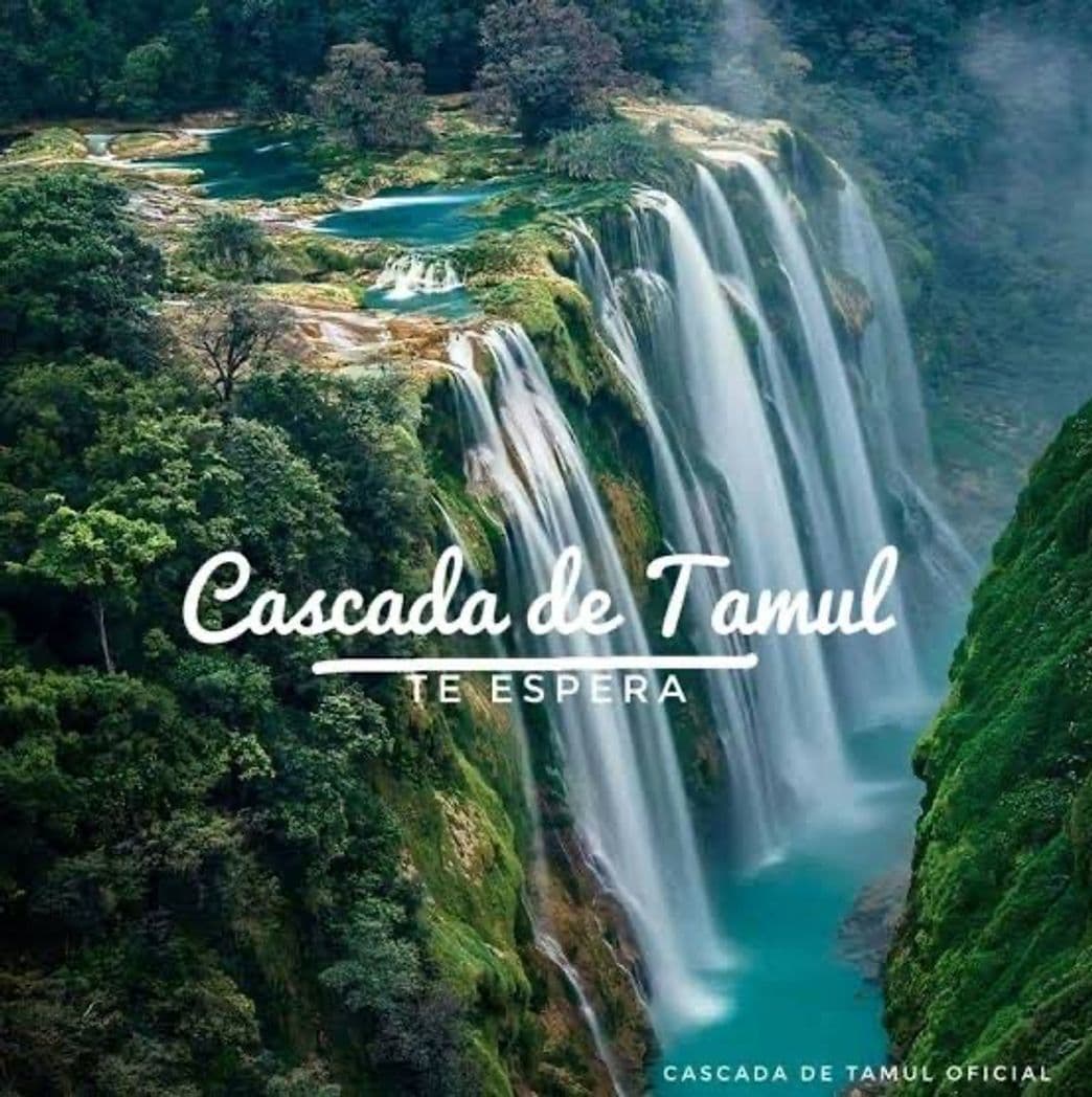 Lugar Cascada de Tamul