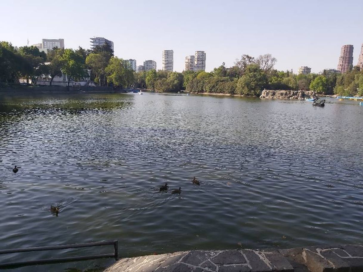 Lugar Bosque de Chapultepec