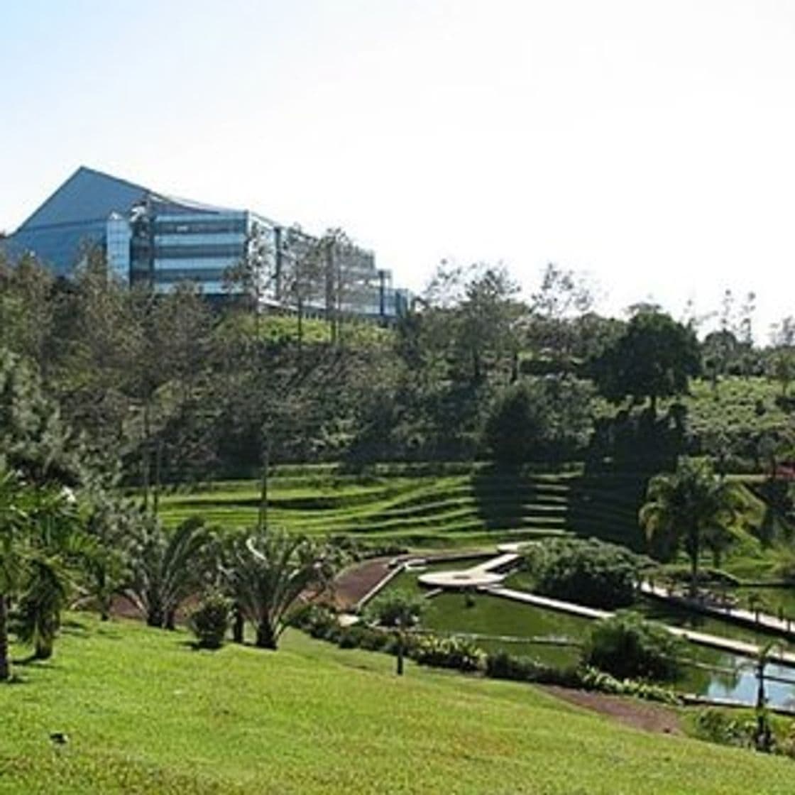 Lugar USBI Xalapa