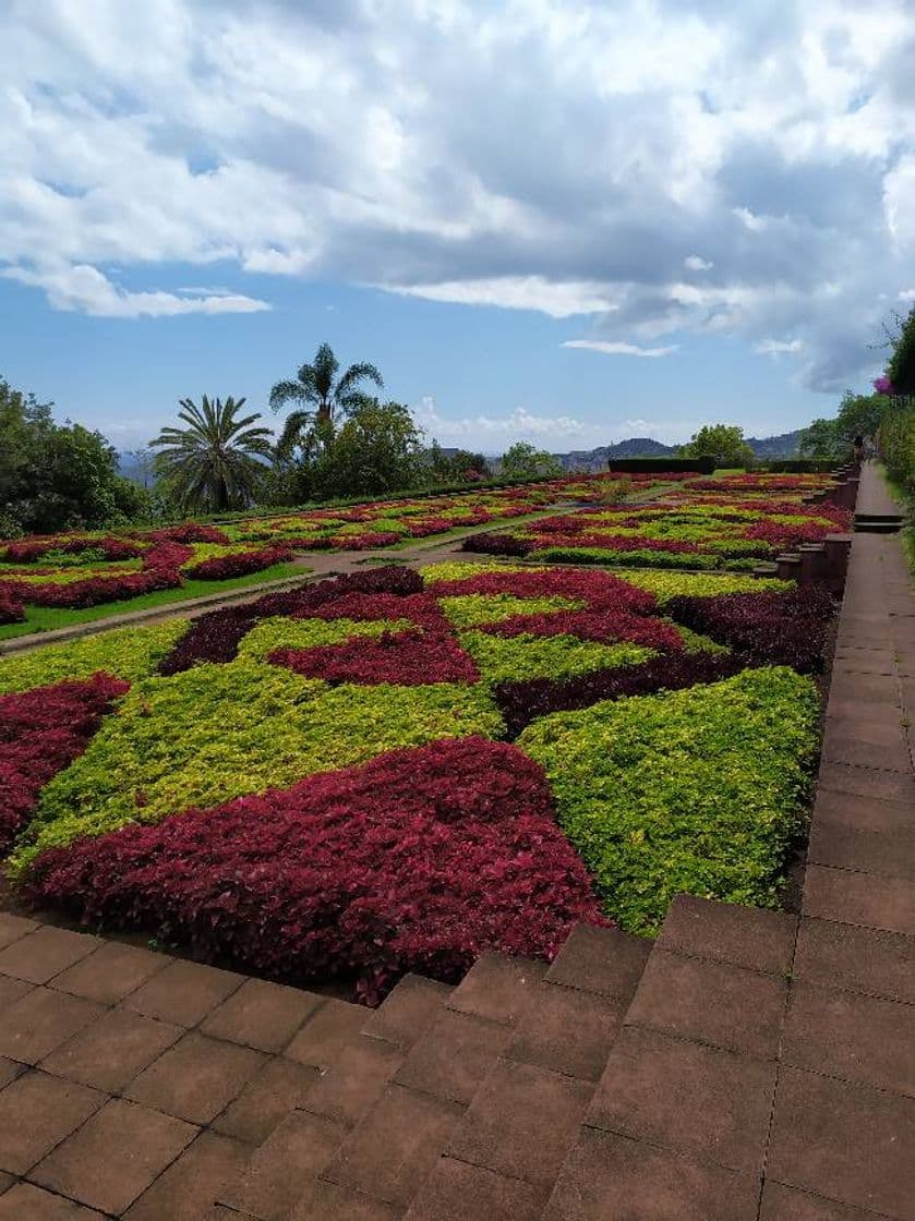 Lugar Jardín Botánico de Madeira