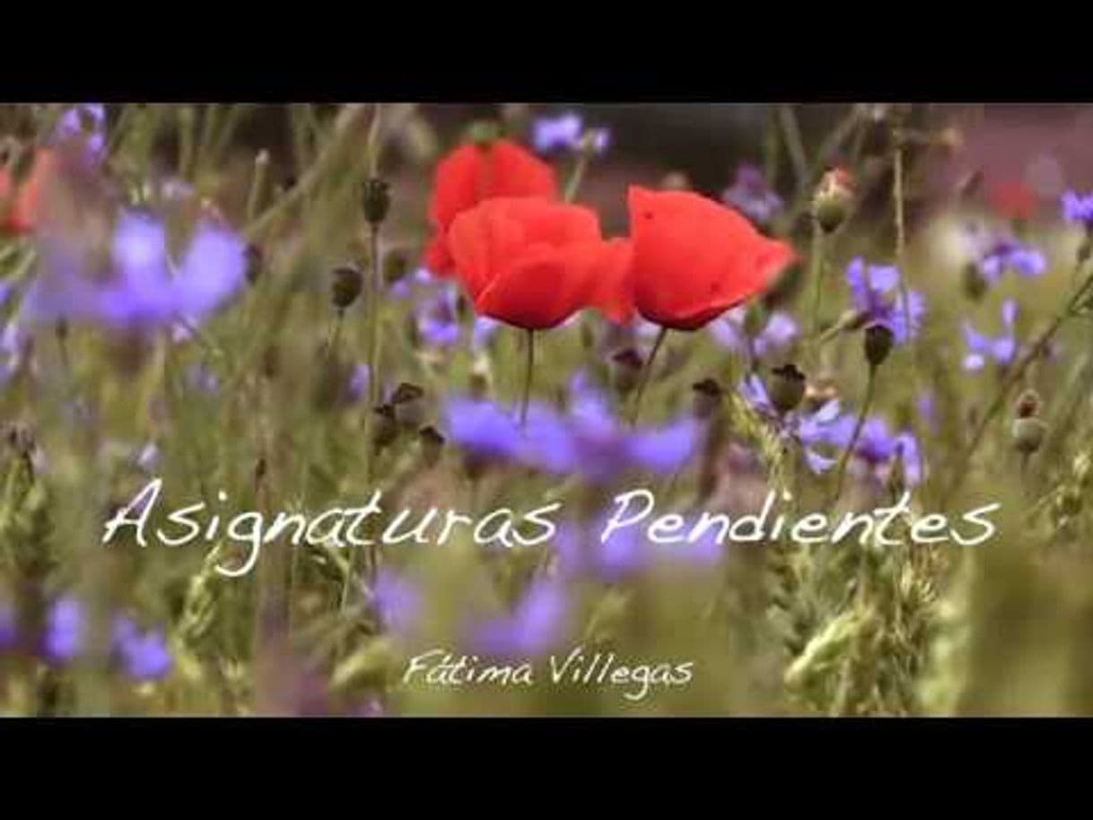 Fashion amapolas. - Asignaturas Pendientes